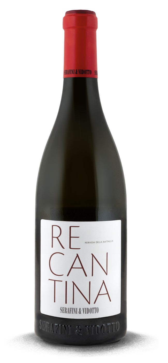 Rosso Recantina 2022 - Serafini e Vidotto